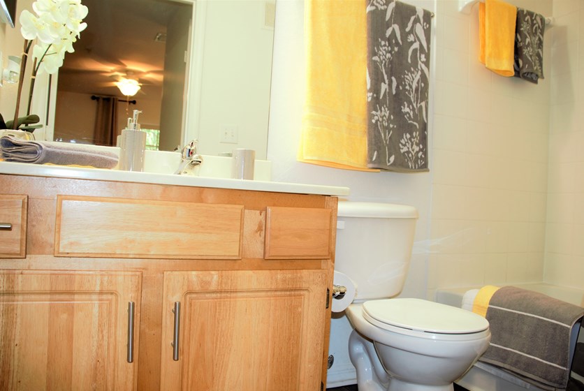 Brookside Apartments Gainesville, FL Swamp Rentals